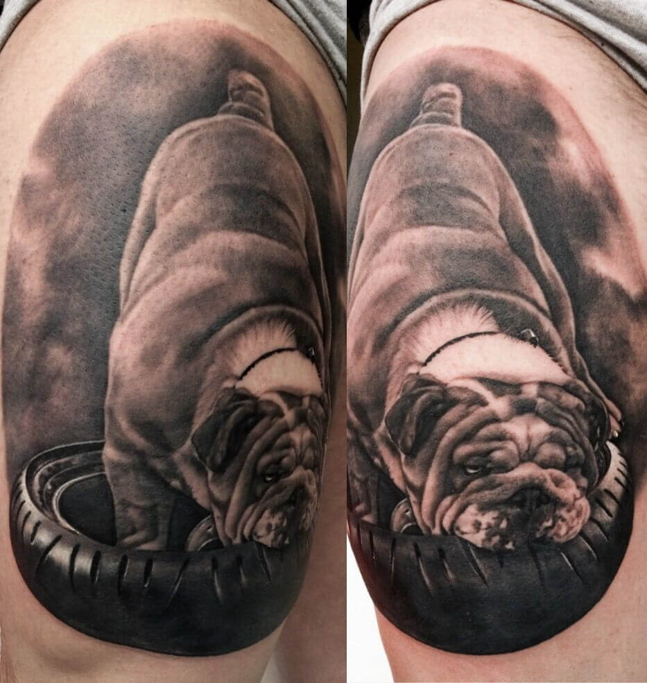 10 Cute English Bulldog Tattoo Designs Pet Reader